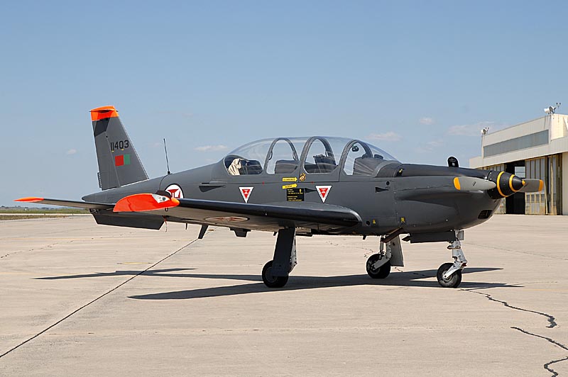 TB-30 in new grey colour at Beja .jpg